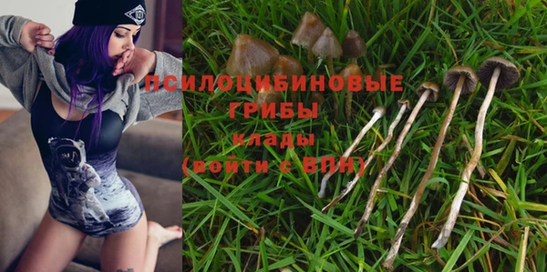 Альфа ПВП Заволжск