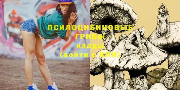 Альфа ПВП Заволжск